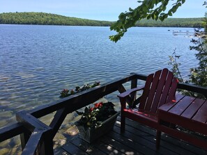 Property grounds - Log home on untouched cold stream lake (Lowell)