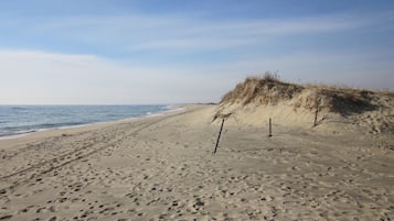 靠近海滩、沙滩椅、沙滩毛巾