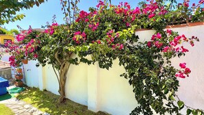 Un jardín con un muro blanco y un árbol de flores rosadas.
