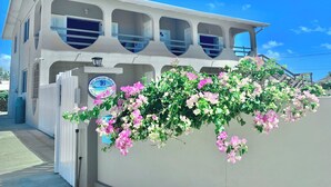 A two-story building with a balcony, a sign indicating 'Dream House 16', and a lush flowering vine in front. -  Spacious Oceanview One Bedroom Apartment (Atlantic Shores)