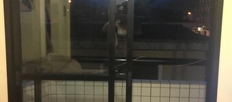 Apartment "foot in the sand" Mongaguá