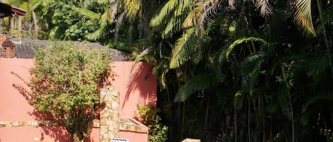 室内游泳池