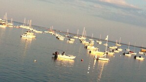 A marina with numerous boats docked.