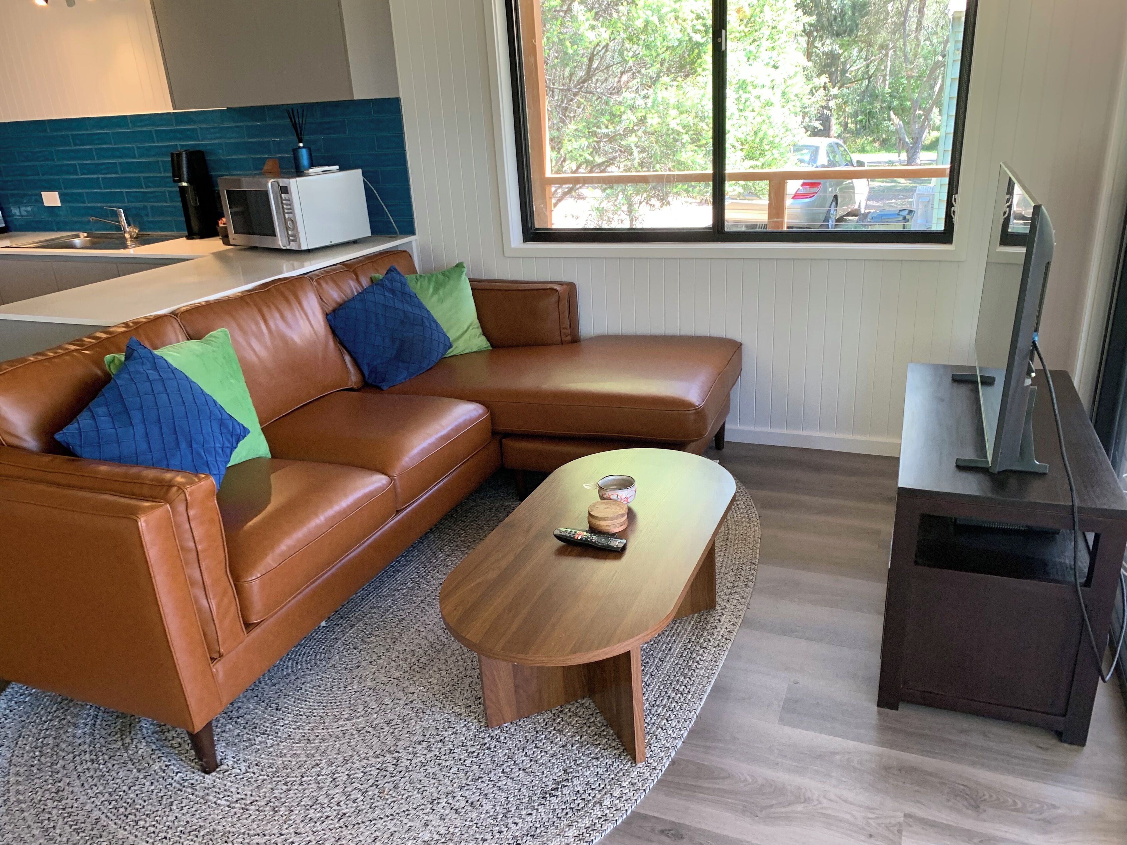 电视、DVD 播放器