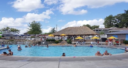 Margaritaville at Lake of the Ozarks pet Friendly Osage Beach, Missouri