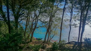 Una hamaca entre árboles con vista a un cuerpo de agua.