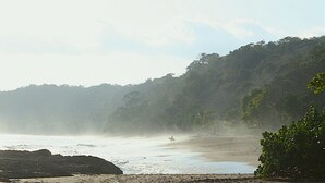 Una playa con un jinete, costa rocosa y un bosque denso al fondo.
