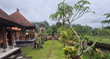 Villa Taman near Sidemen