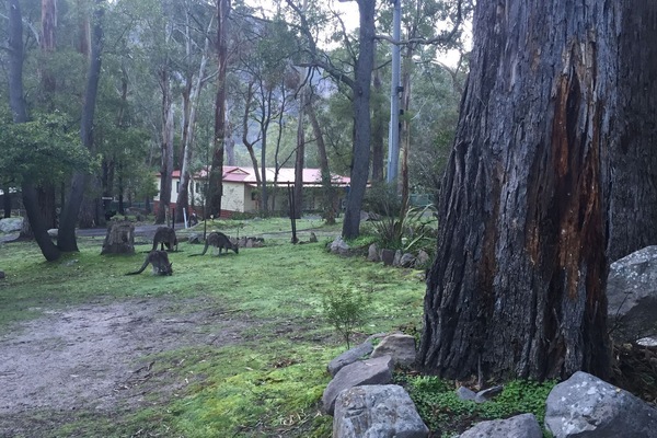 Parco della struttura