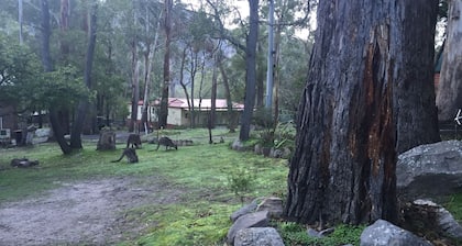 Vista Halls Serene Gap