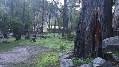 Vista Halls Serene Gap