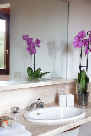 Combined shower/tub, hair dryer, bidet, towels