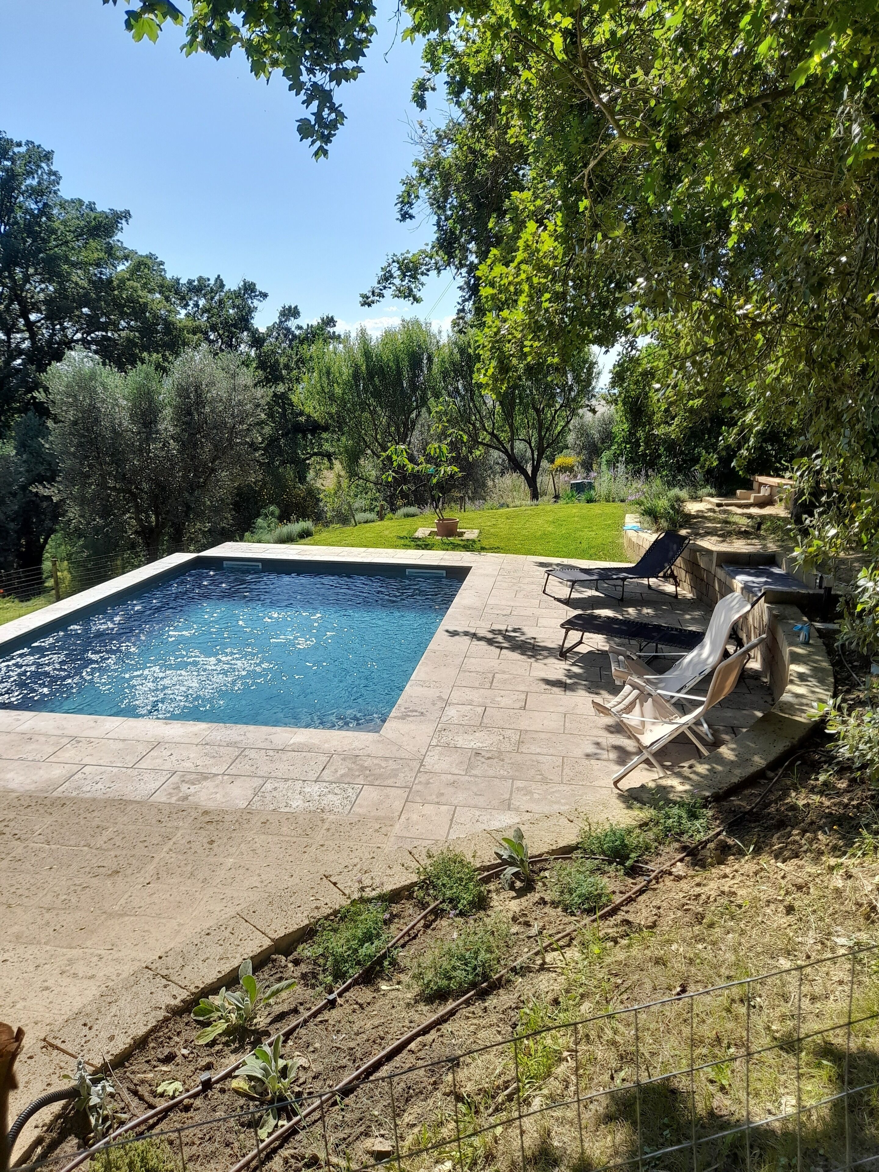A rectangular swimming pool with a tiled deck, surrounded by a grassy area and trees.