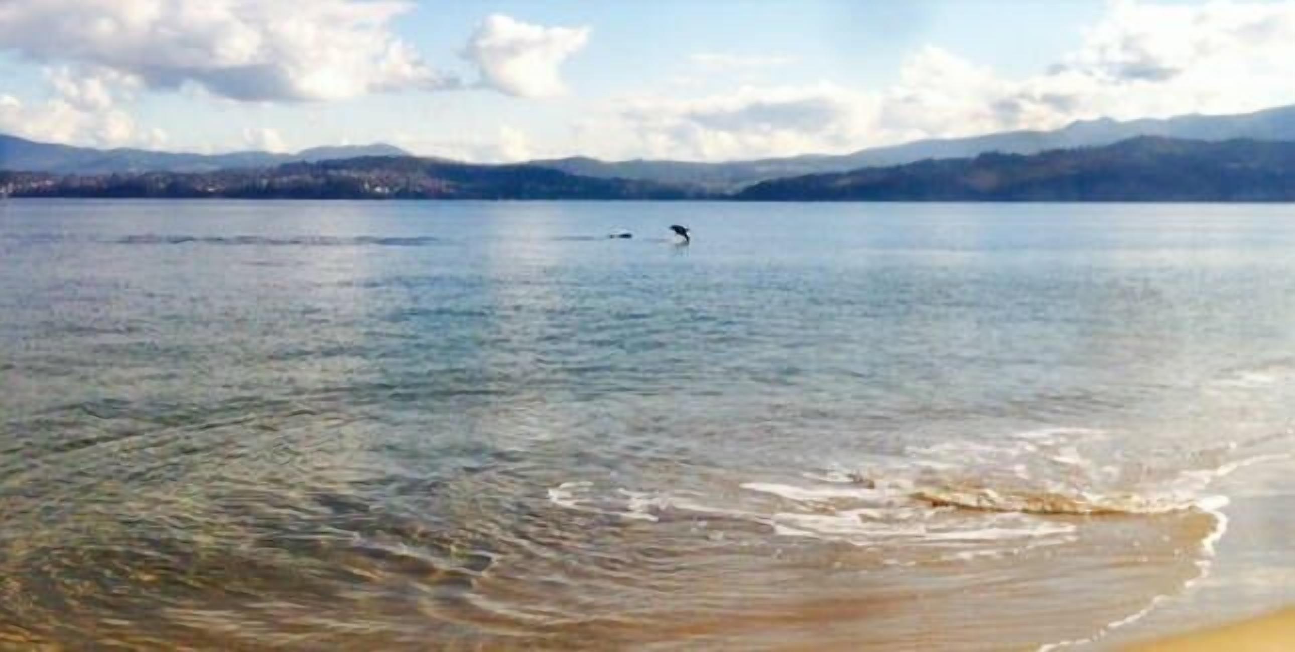 SALTCOTES BEACH HOUSE TASMANIA — image 21