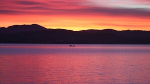 Unclassified image, 4 of 21, button