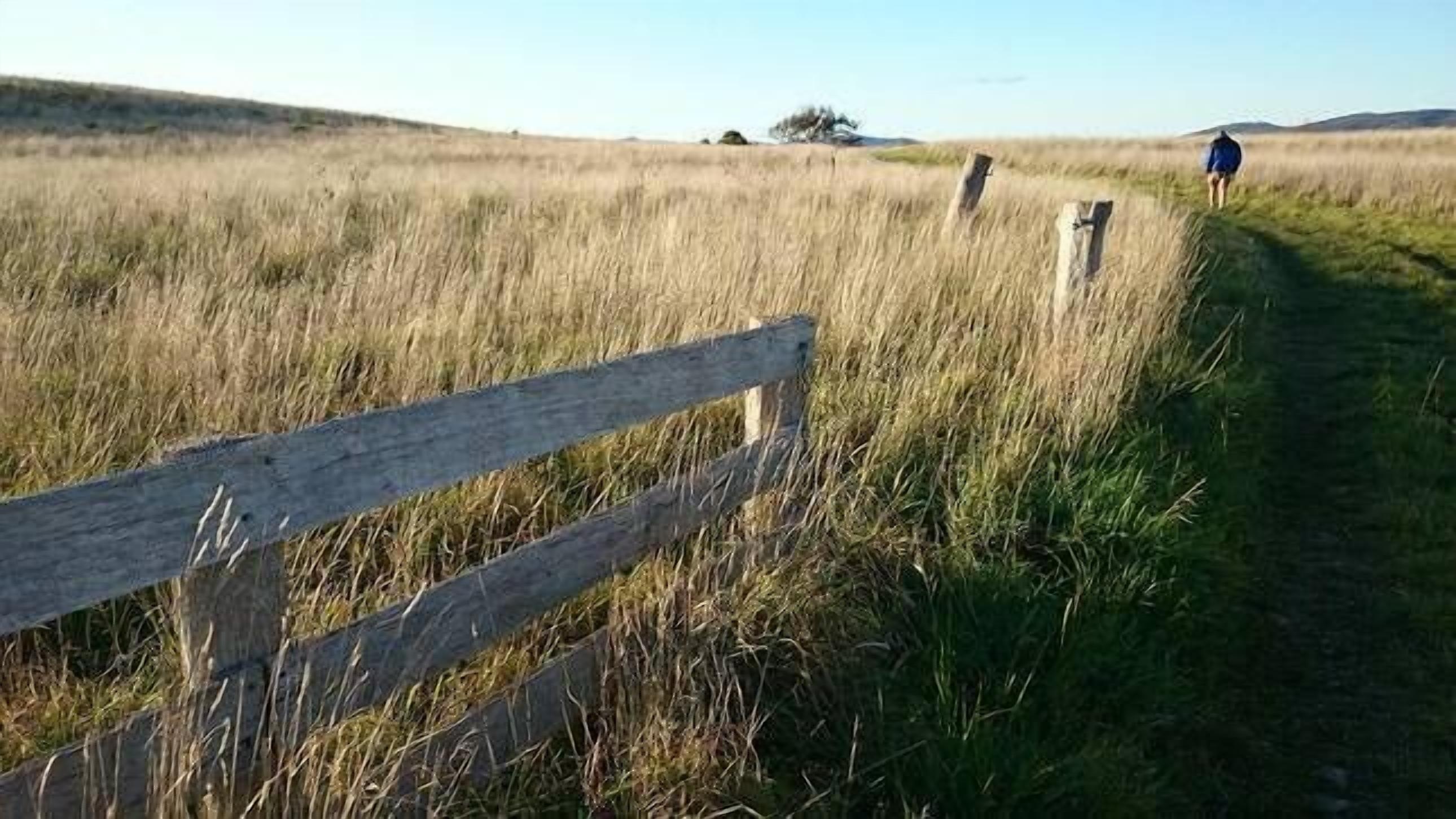 SALTCOTES BEACH HOUSE TASMANIA — image 5