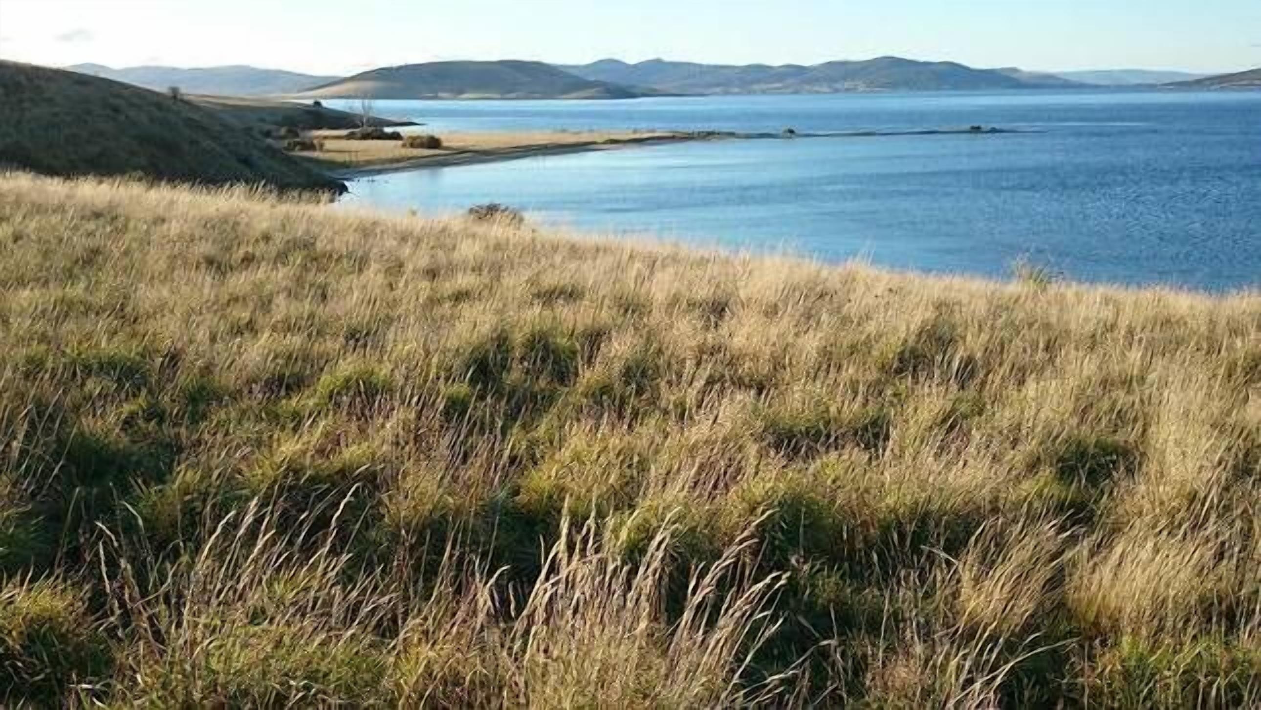 SALTCOTES BEACH HOUSE TASMANIA — image 22