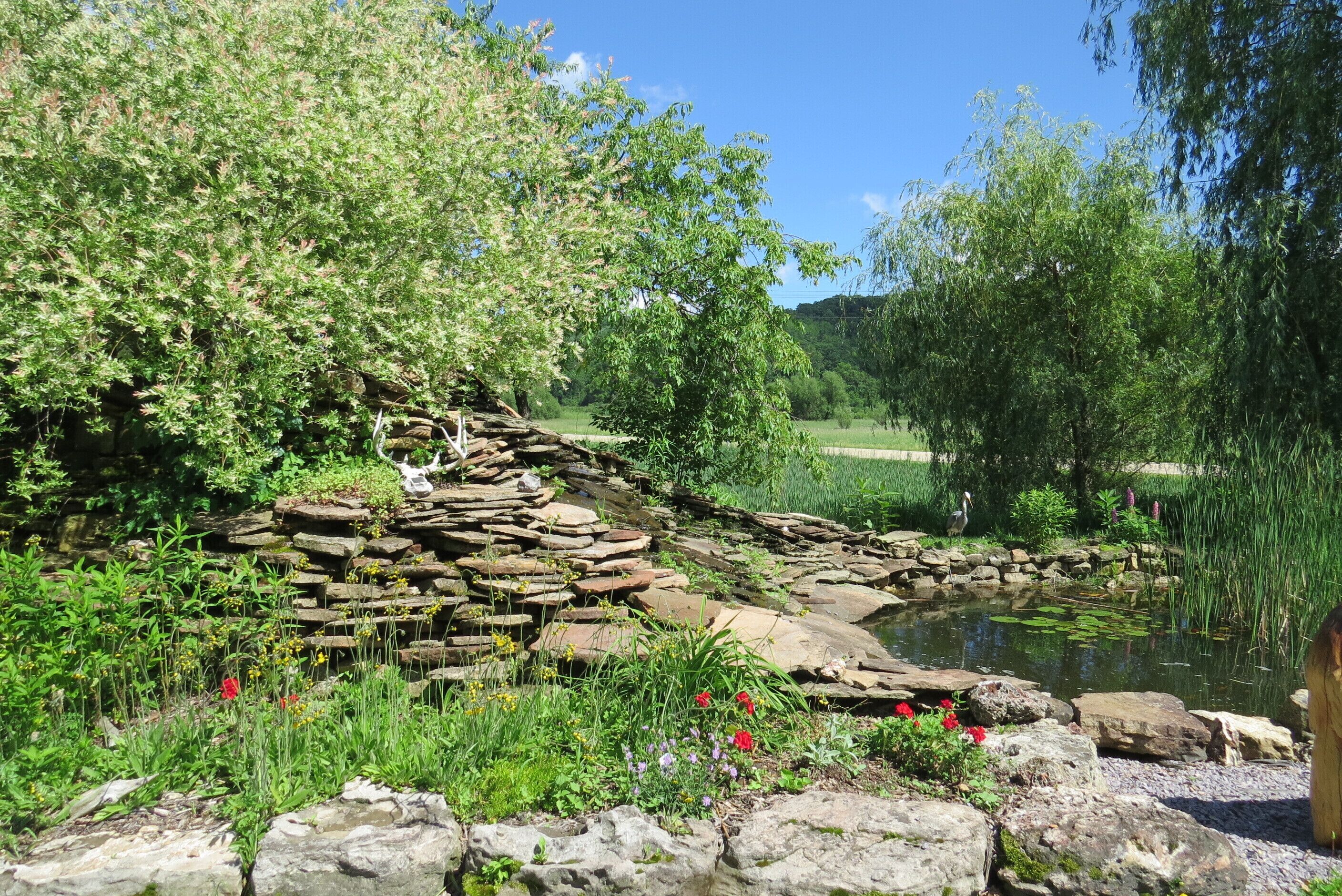 Frog pond on property.