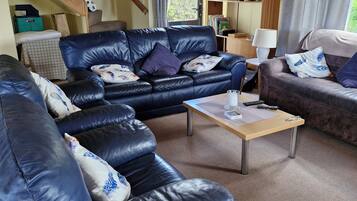 Smart TV, DVD player, books