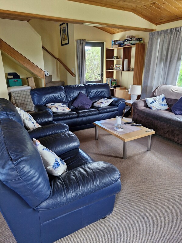 Téléviseur connecté, lecteur de DVD, livres