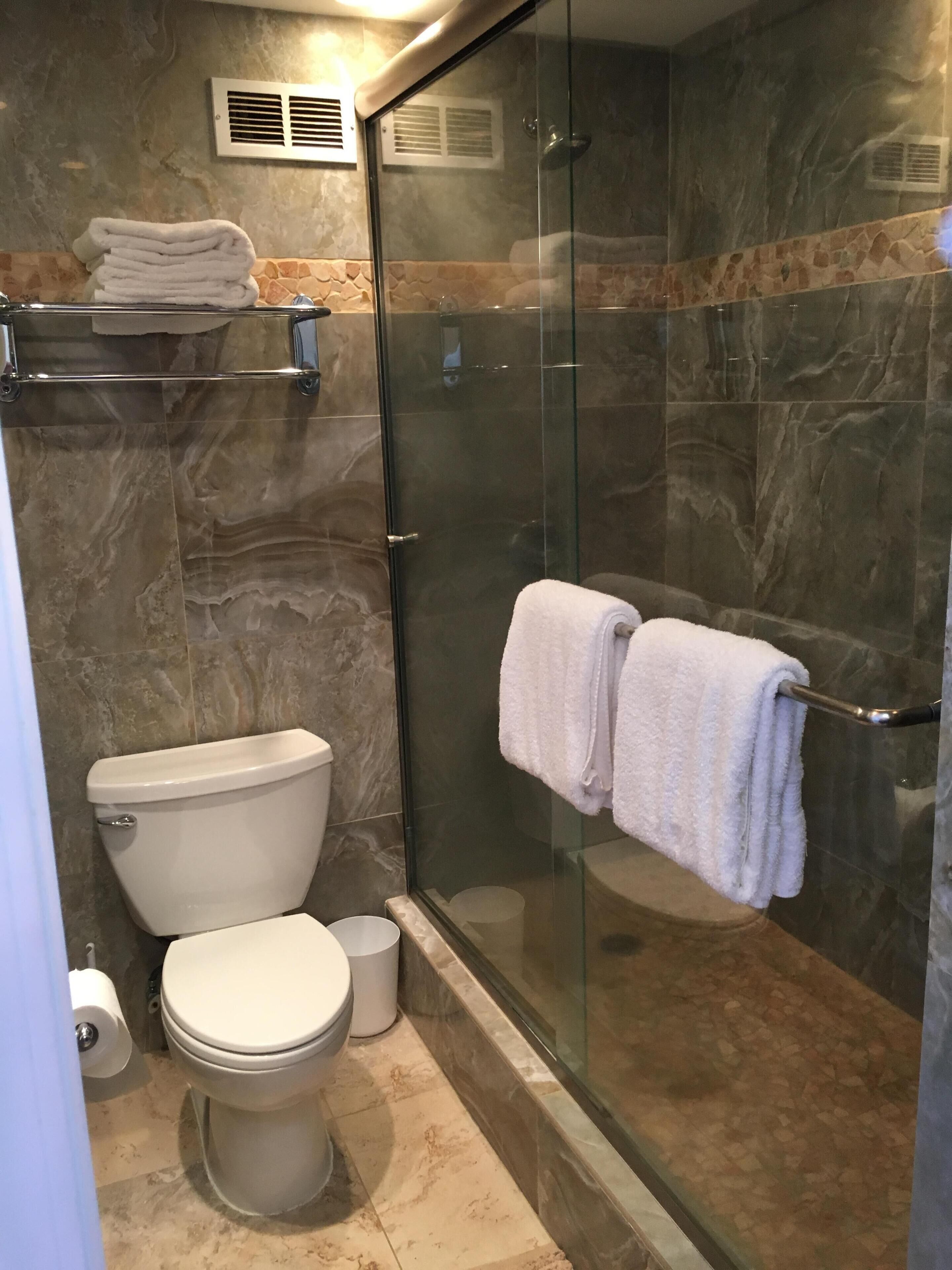 Regadera, secadora de cabello, toallas, papel de baño 