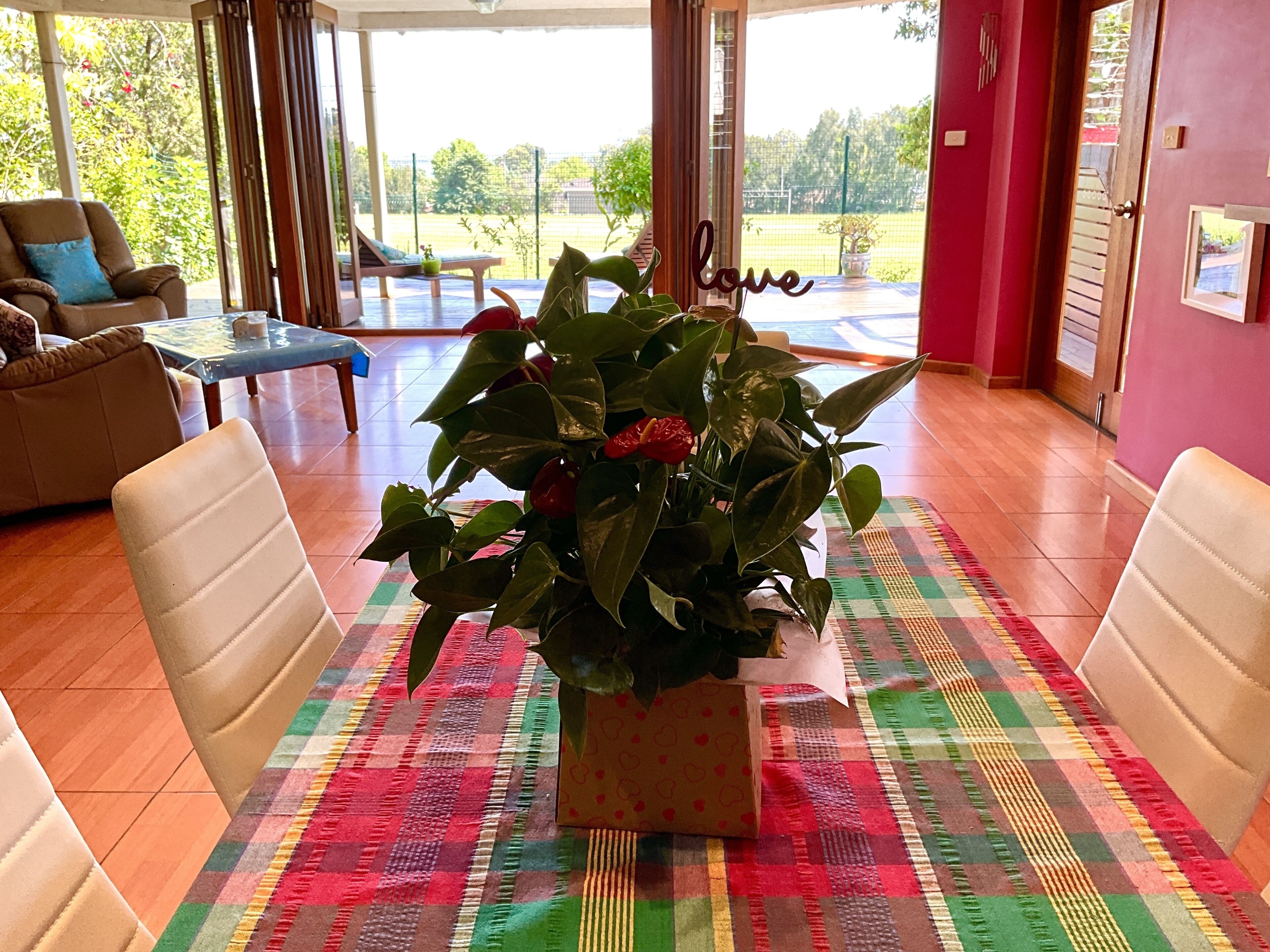 A room with a large potted plant, a checkered rug, and a view of a tennis court through large windows.