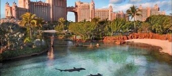 Entire Villa, Affordable, Near Atlantis & the Best Beach & All!