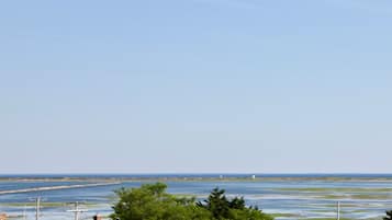 Plage à proximité, chaises longues, serviettes de plage