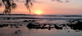 In Town Ocean View Condo-Walk to the Beach, Shops, Restaurants and Bars!