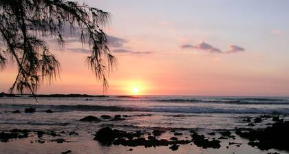 In Town Ocean View Condo-Walk to the Beach, Shops, Restaurants and Bars!