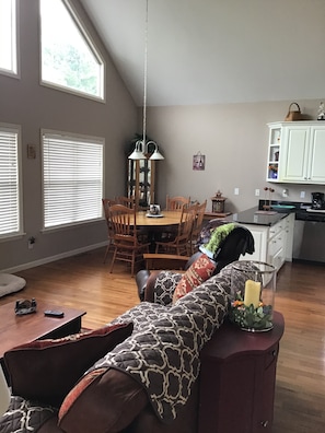 TV, fireplace, video games, DVD player