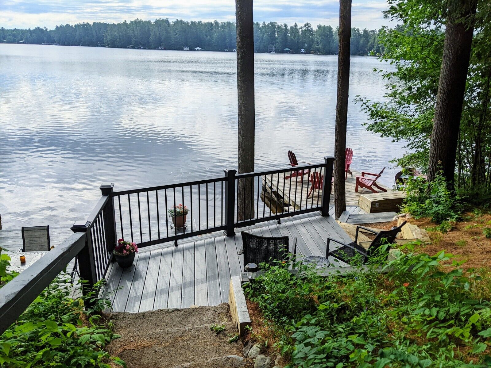 テラス / パティオ