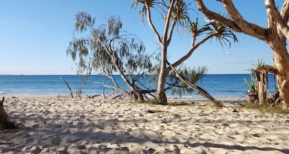 ESTRELLAS DE MAR EN straddie