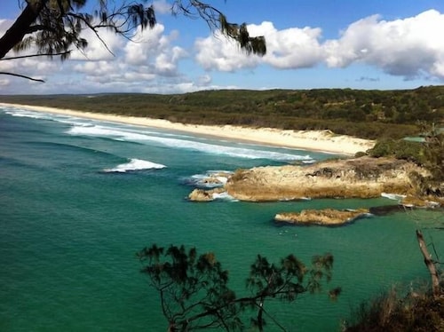 STARFISH ON STRADDIE