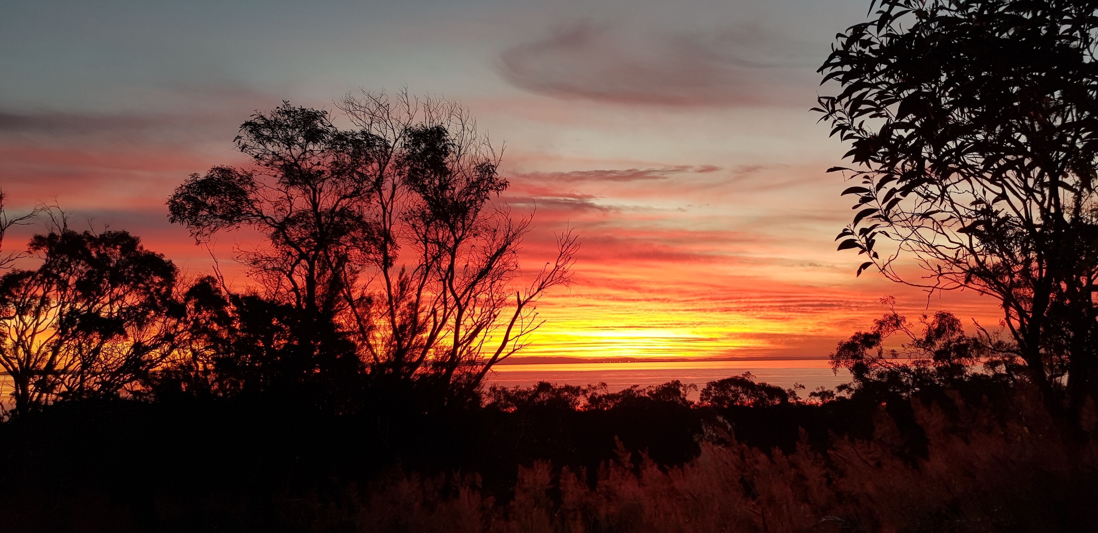 A sunset over a coastal landscape with silhouettes of trees and vegetation.