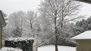 Een besneeerd landschap met bomen en een houten terras.