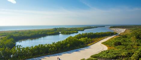 On the beach, sun loungers, beach towels