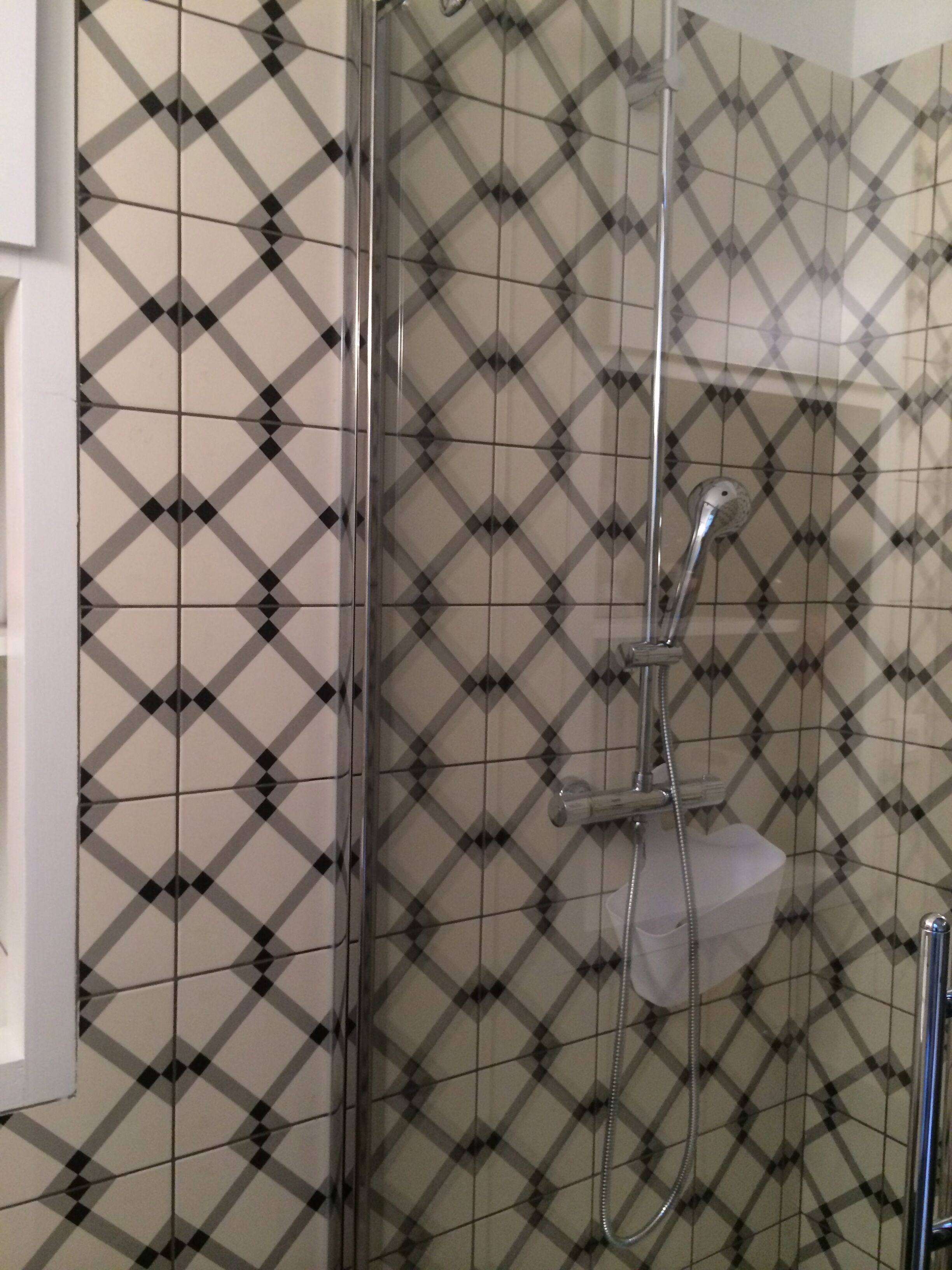 Een douche met een glazen deur en een handdouche.