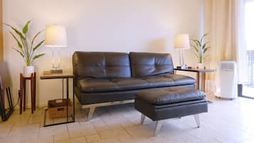 Télévision, lecteur de DVD, livres, chaßne hi-fi