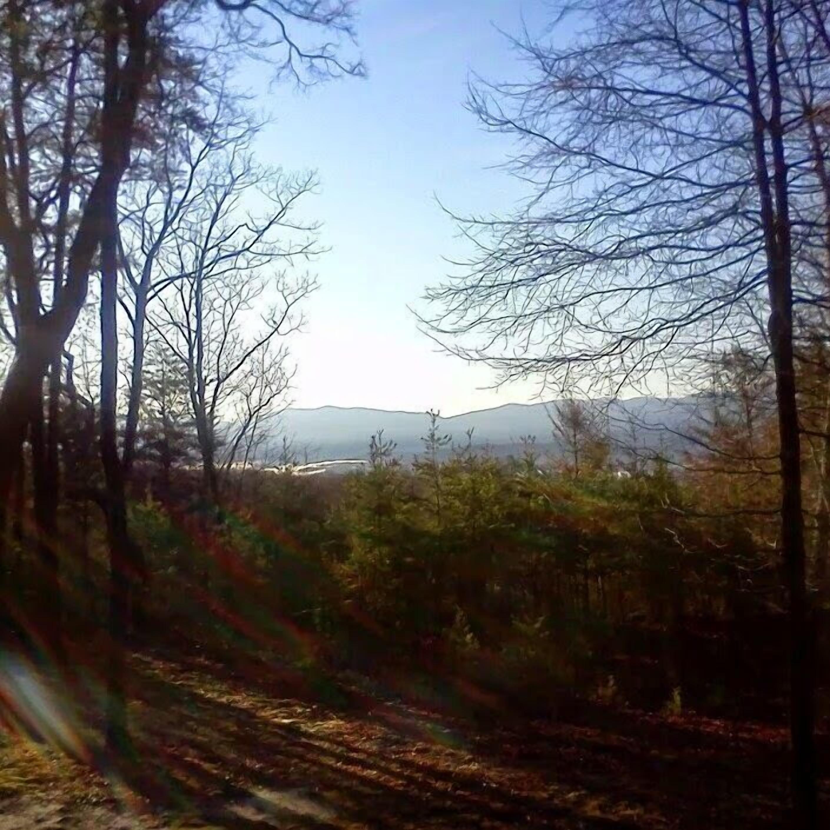 View of the Mountains from the porch.