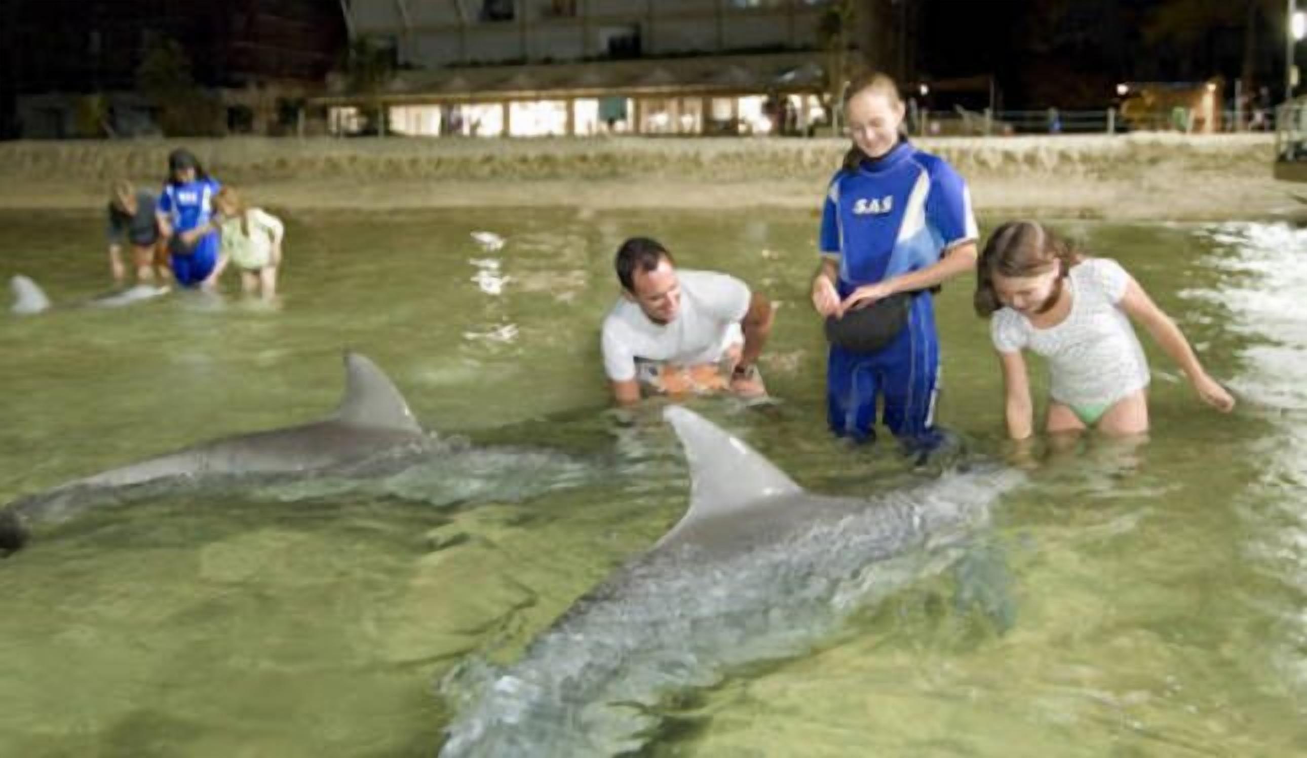 Blue Moon Beach House.  Fabulous views. Free Wifi. Airconditioned bedrooms. — image 28