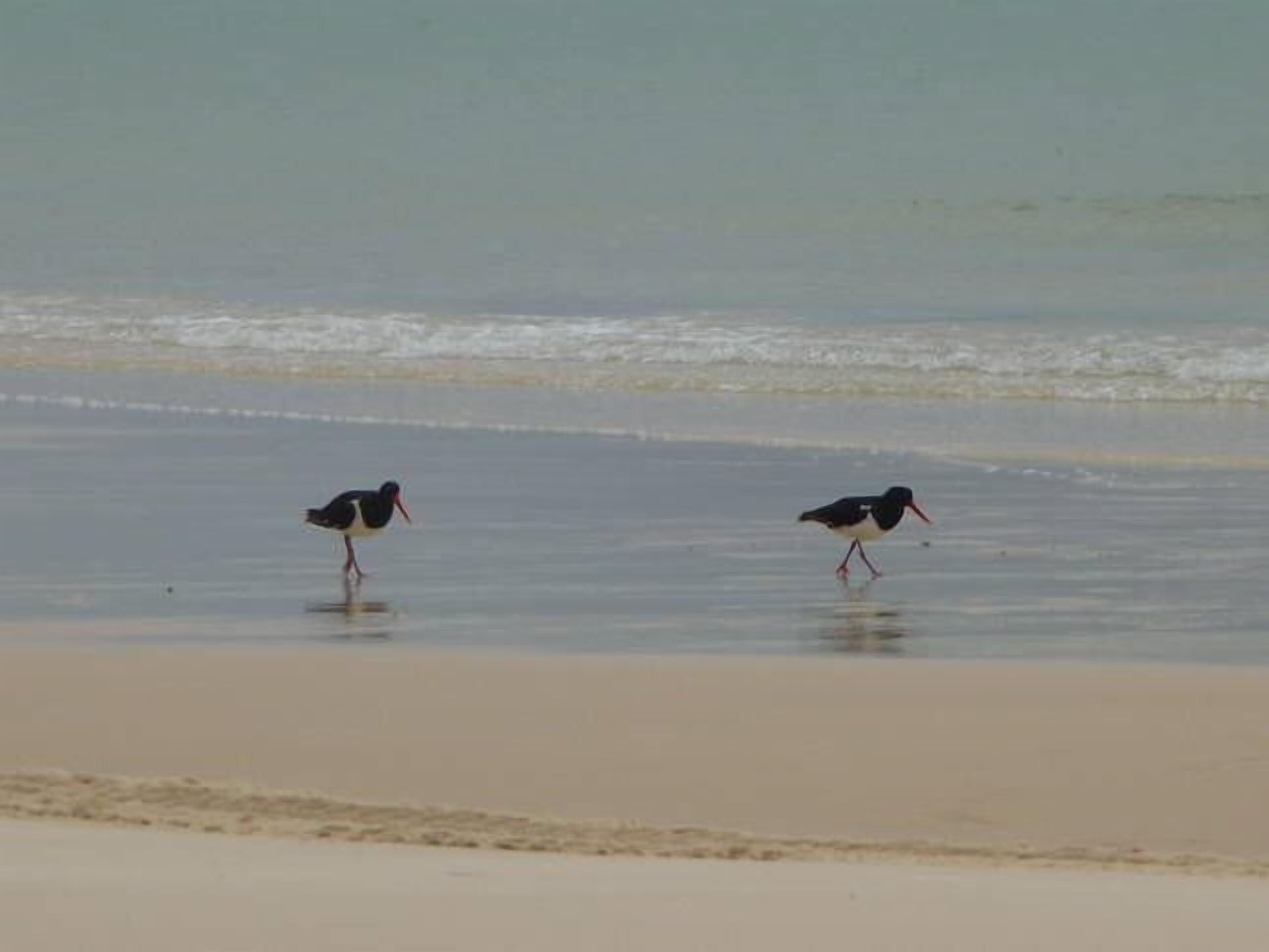 Blue Moon Beach House.  Fabulous views. Free Wifi. Airconditioned bedrooms. — image 22