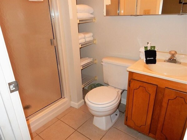 A bathroom with a toilet, a sink, and a shower area.
