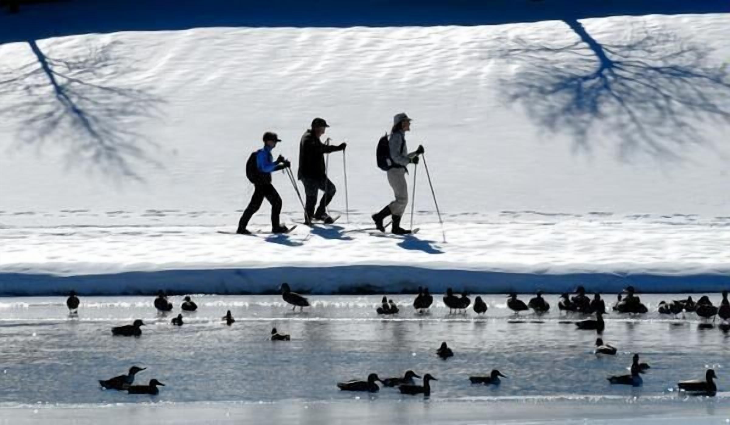 Peaceful Pond property, Grand Canyon /Flagstaff freshly Remodled, great location
