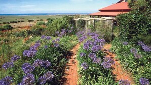 Ein Gartenweg mit violetten Blumen, der zu einem Haus mit rotem Dach führt.