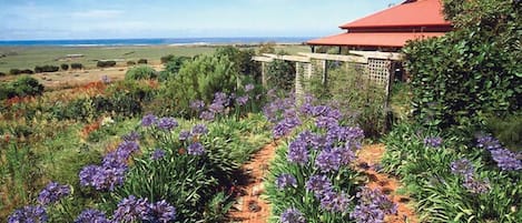 Ein Gartenweg mit violetten Blumen, der zu einem Haus mit rotem Dach führt.