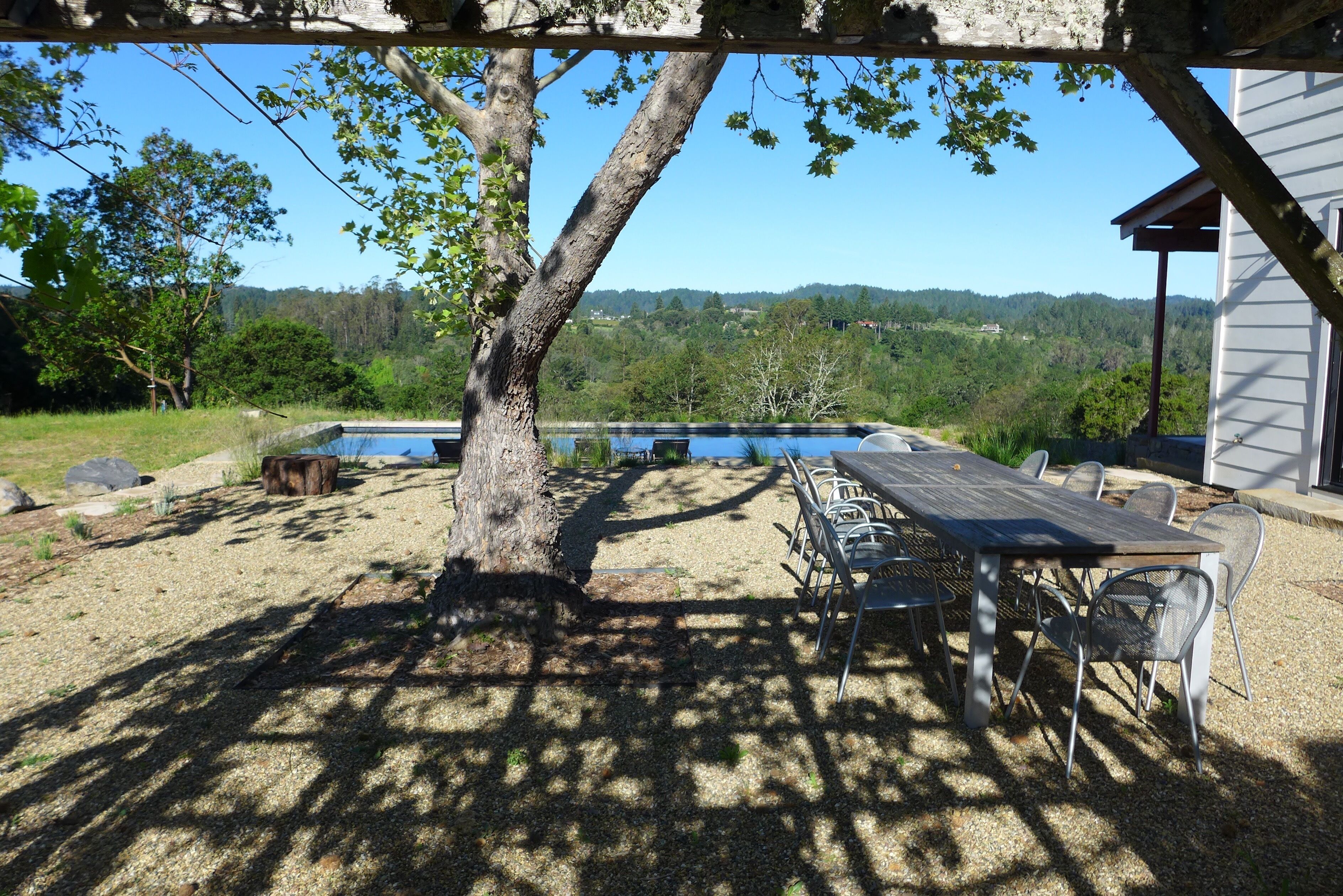 Dining terrace, grape arbor and sycamore tree