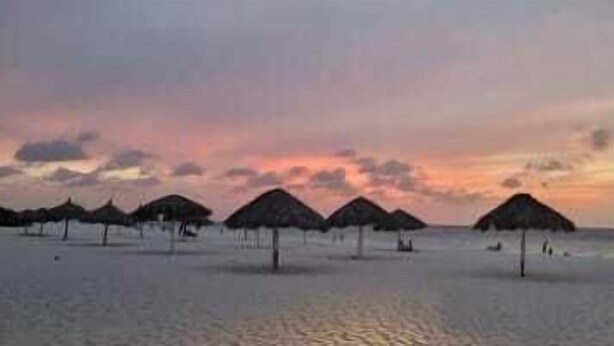 A beach with thatched-roof huts and a calm sea at sunset. - Fabulous, spacious townhome steps from Eagle Beach (Oranjestad)