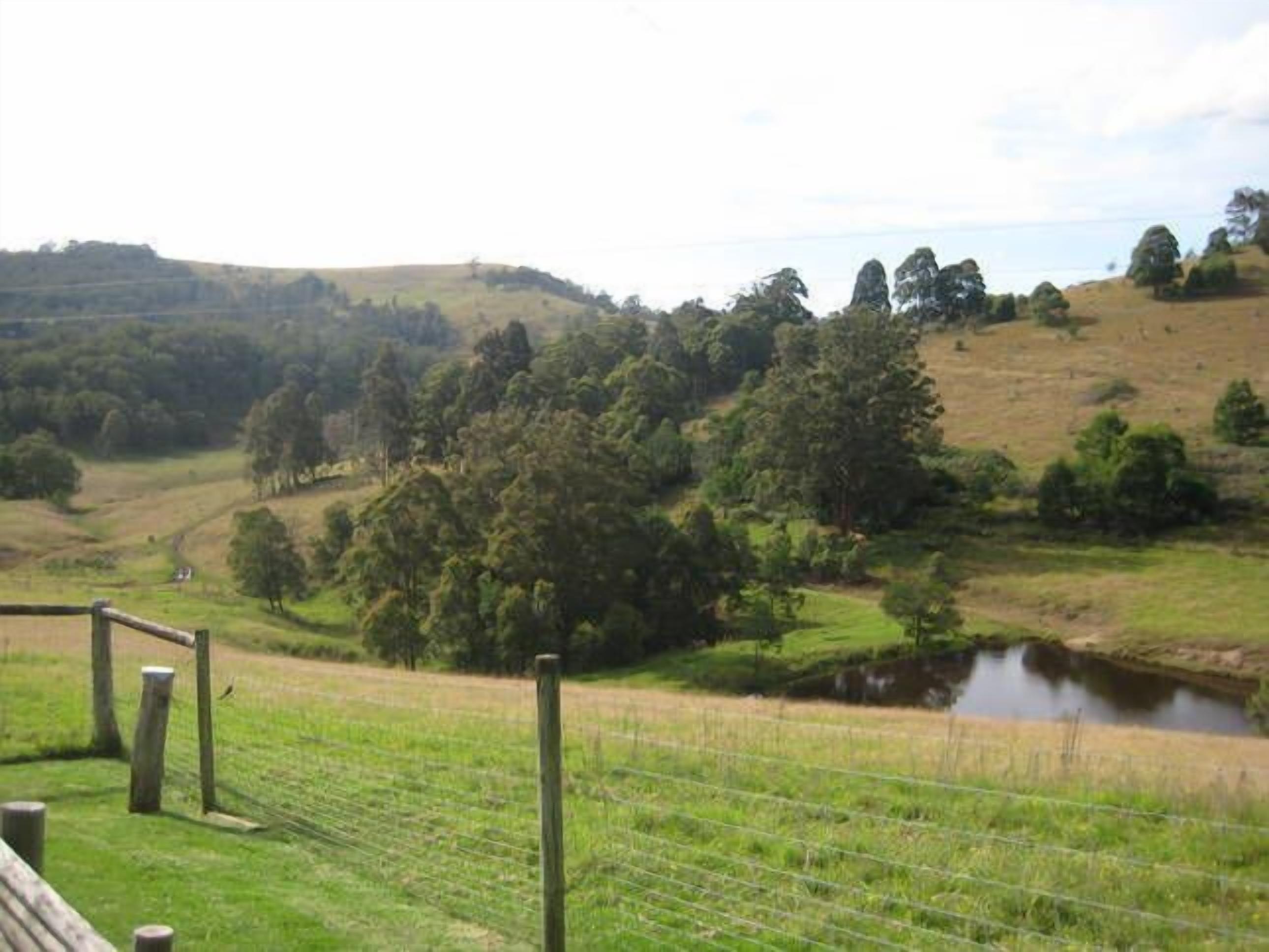 Valley Beyond - Peace and tranquility. PET Friendly. Free Wi Fi — image 18