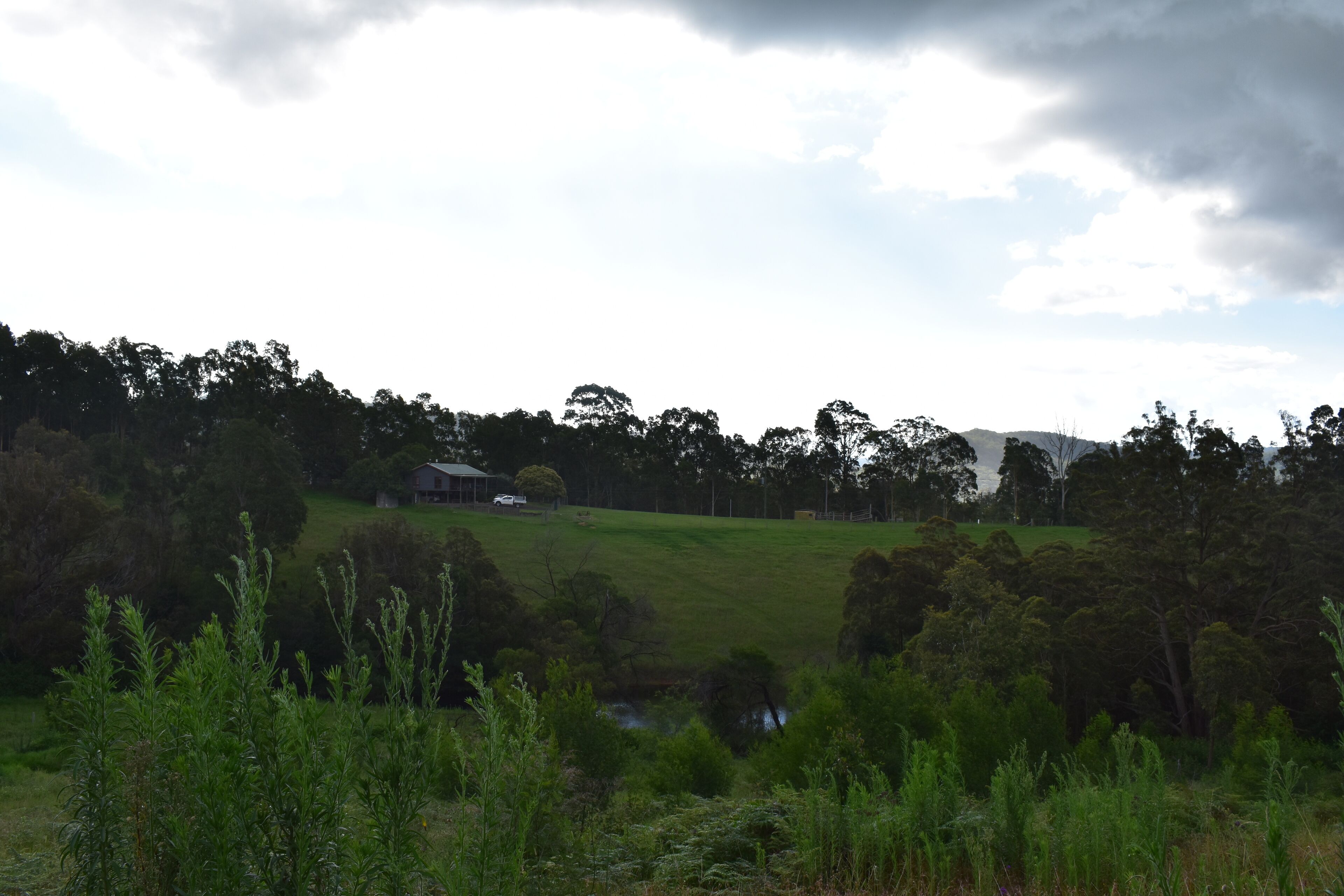 Valley Beyond - Peace and tranquility. PET Friendly. Free Wi Fi — image 2